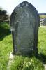 GRAVESTONE: COWLS_DSC8500.JPG